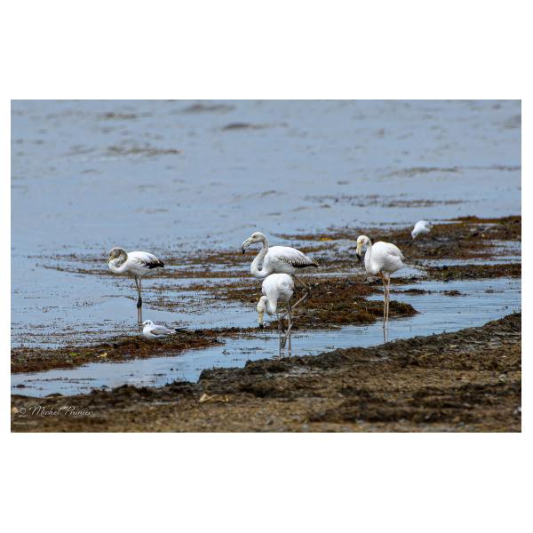 PHOTO84, CLUB, 84 , LUBERON